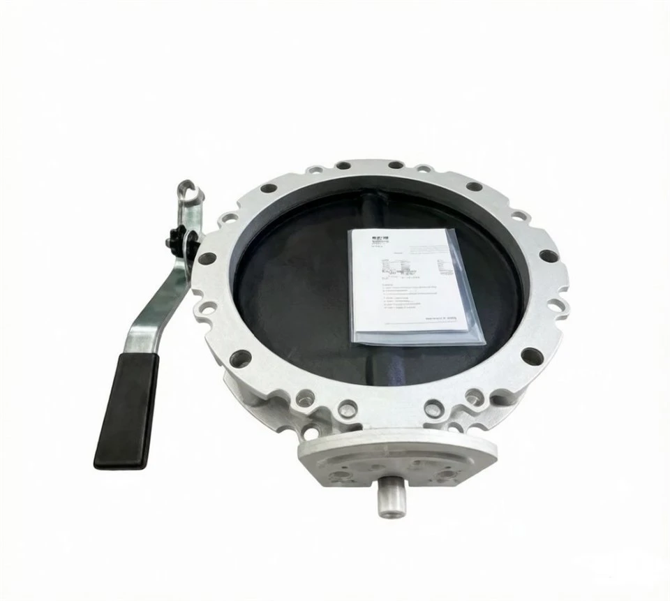 Soft Sealing Type Manual Cement Powder Butterfly Valve BV1FS300FE 300mm